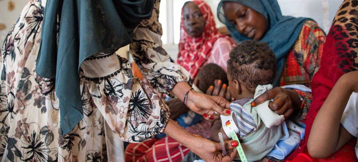 Global alliance meets in Doha to confront hunger crisis